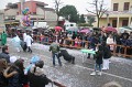 Carnevale 2011 (79)